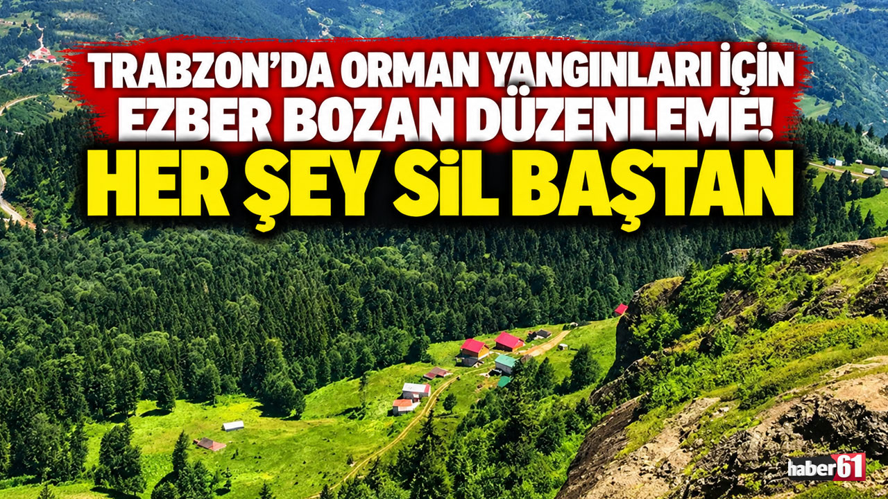 Trabzon’da orman yangınları için ezber bozan düzenleme! Her şey sil baştan