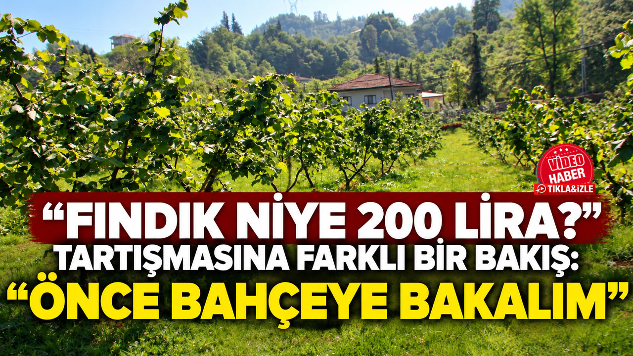 “Fındık niye 200 lira?” tartışmasına farklı bir bakış: "Önce bahçeye bakalım"