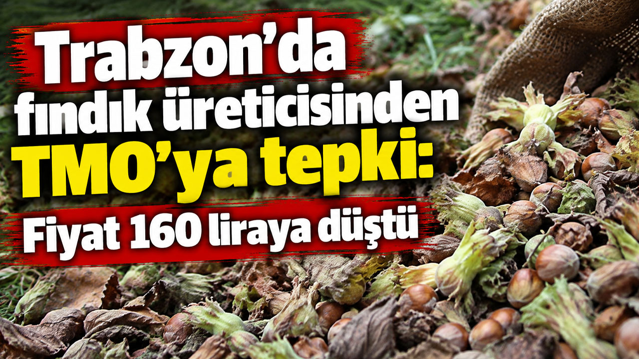 Trabzon'da fındık üreticisinden TMO'ya tepki: Fiyat 160 liraya düştü