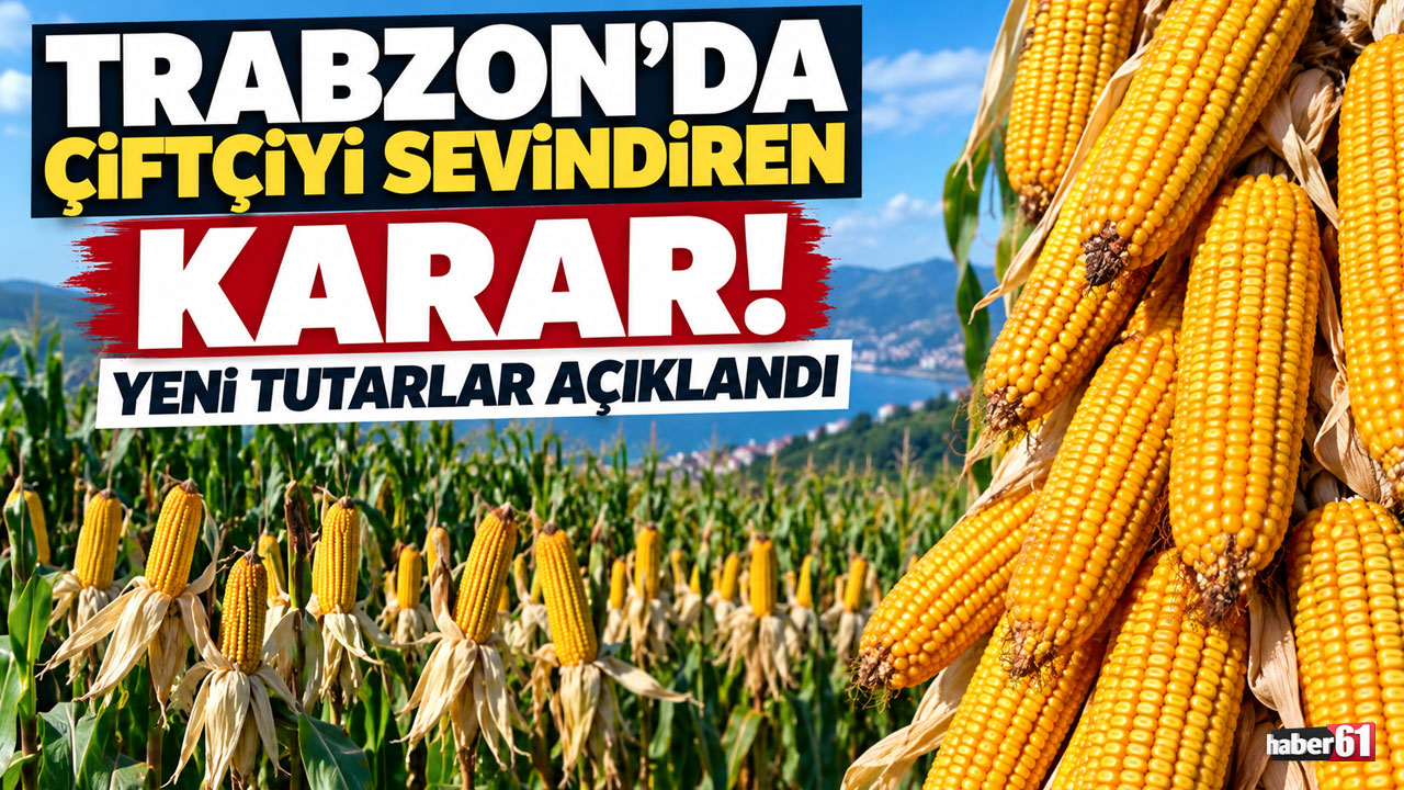 Trabzon’da çiftçiyi sevindiren karar! Yeni tutarlar açıklandı