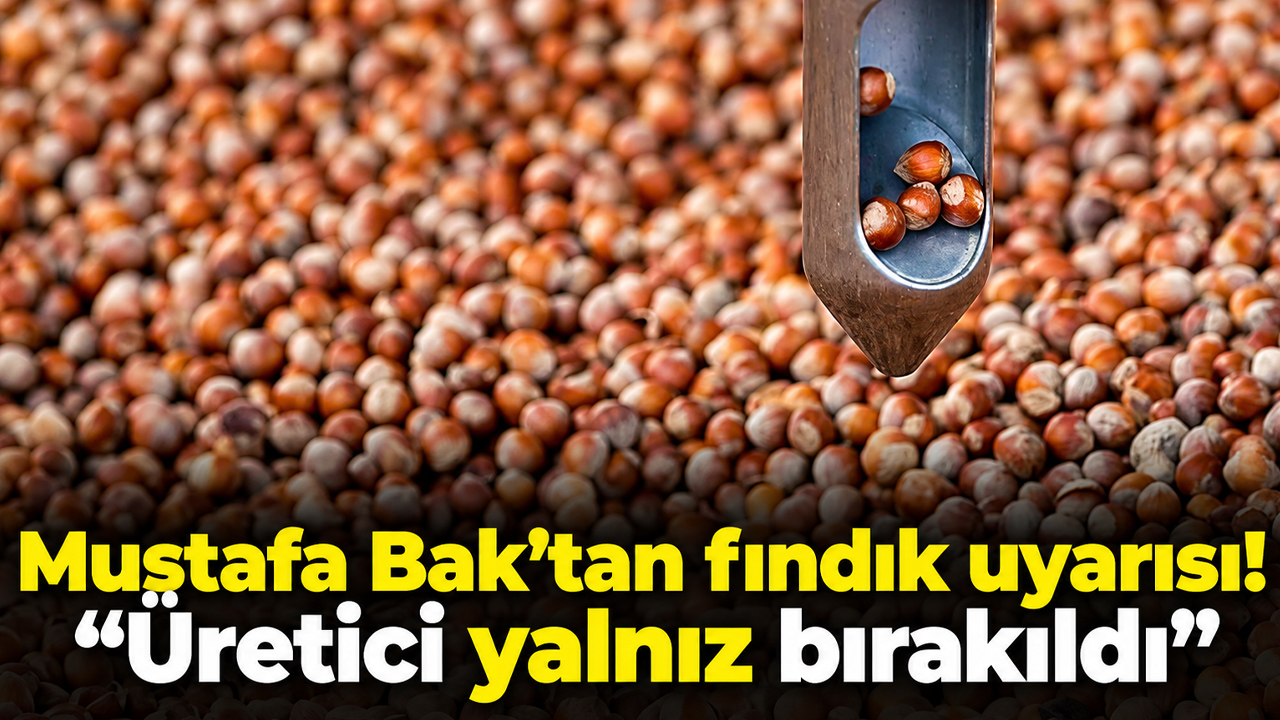 Mustafa Bak’tan fındık uyarısı! “Üretici yalnız bırakıldı”