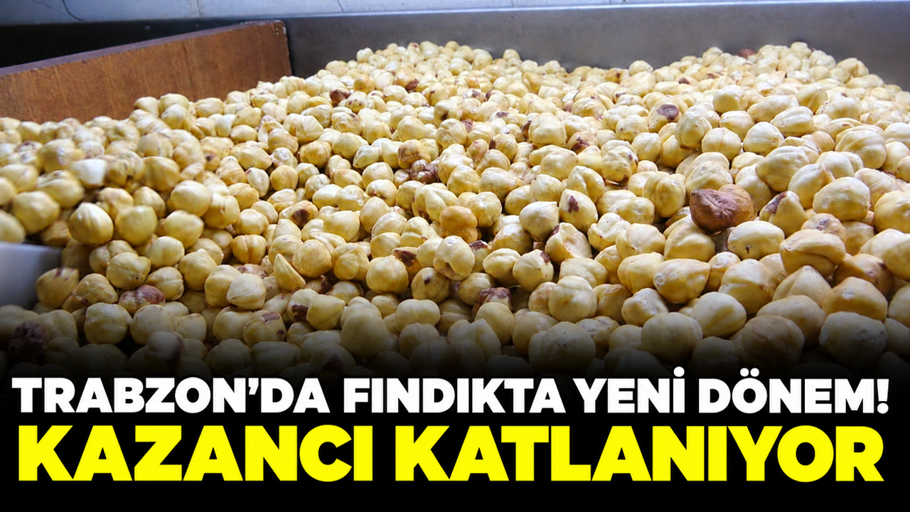 Trabzon’da fındıkta yeni dönem! Kazancı katlanıyor