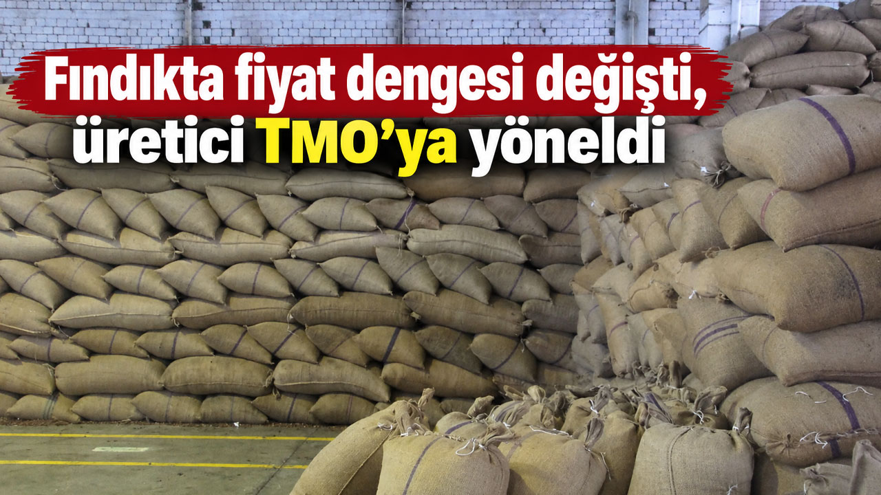 Fındıkta fiyat dengesi değişti, üretici TMO’ya yöneldi