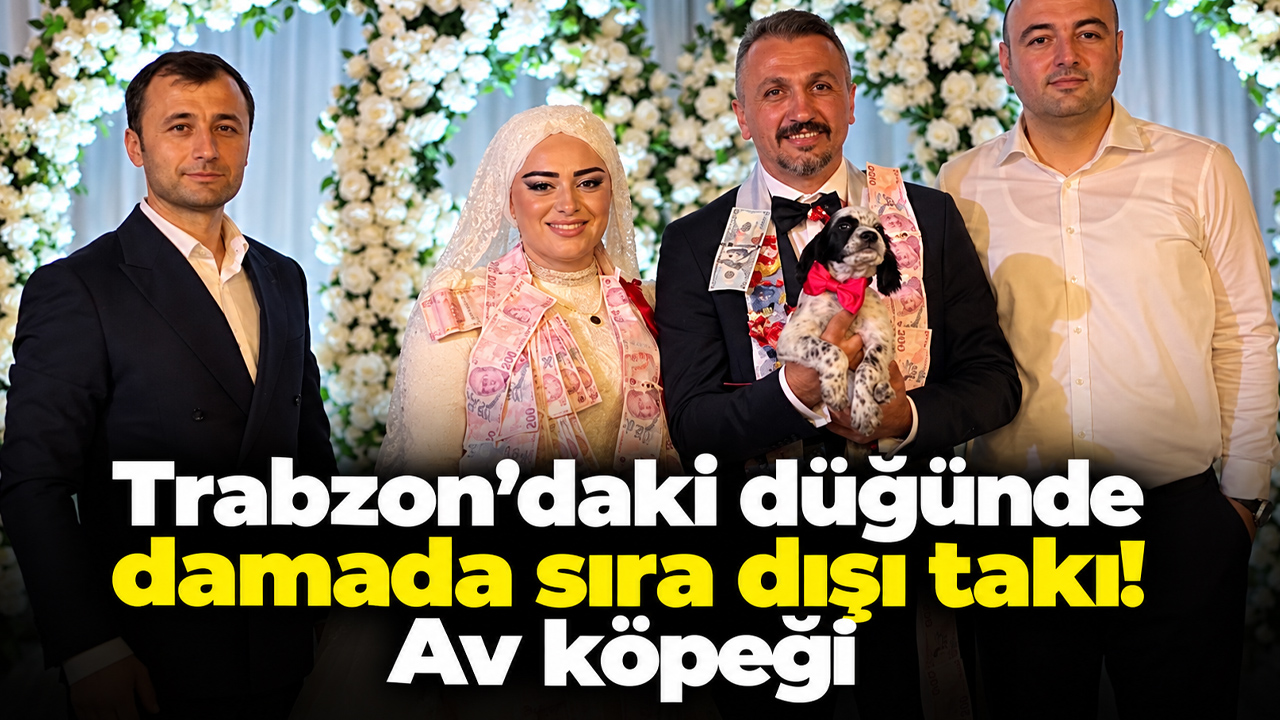 Trabzon’daki düğünde damada sıra dışı takı! Av köpeği