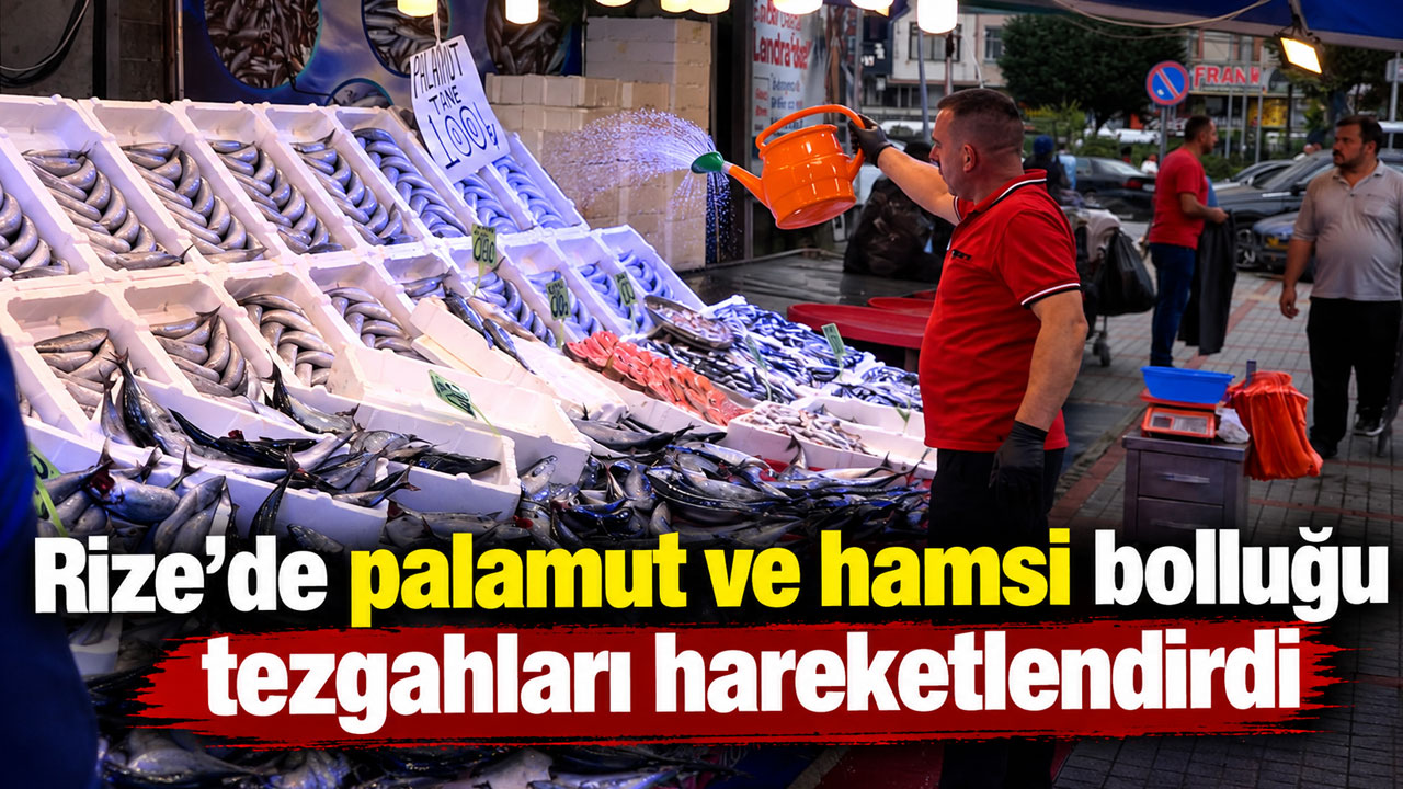 Rize’de palamut ve hamsi bolluğu tezgahları hareketlendirdi