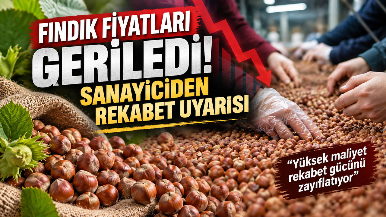 Giresun’da fındık fiyatları geriledi! Sanayiciden rekabet uyarısı