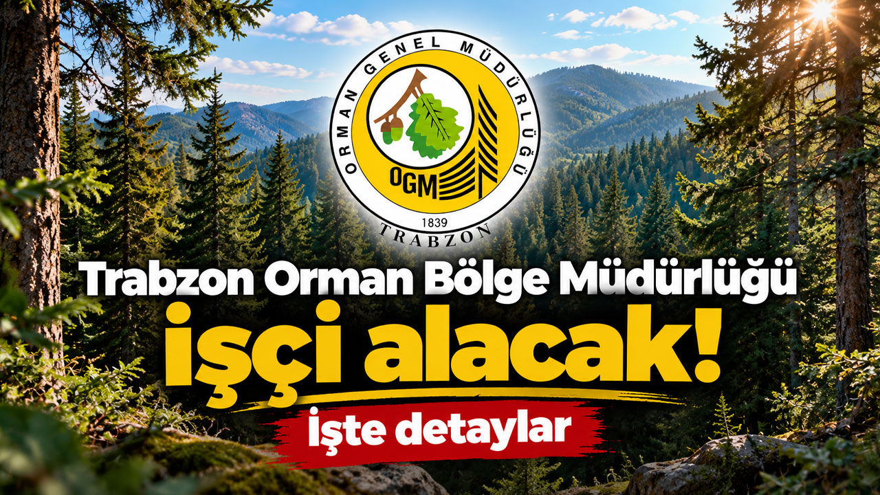 Trabzon Orman Bölge Müdürlüğü işçi alacak! İşte detaylar