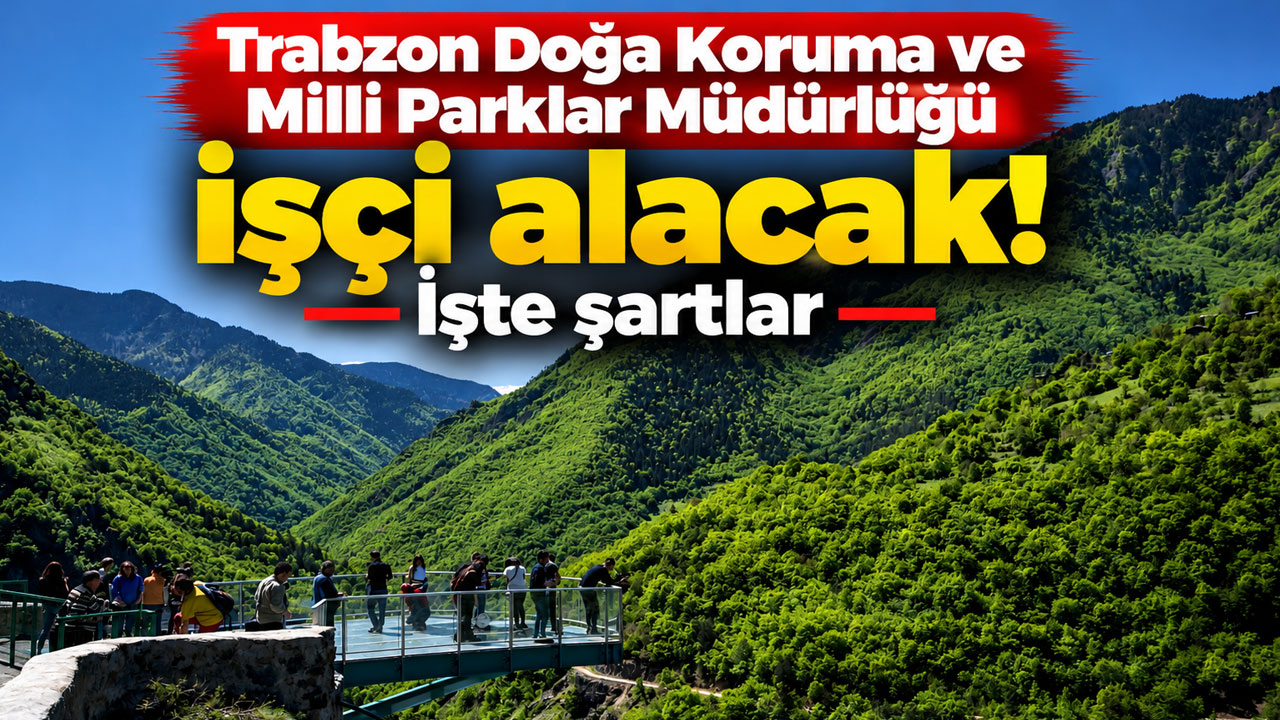 Trabzon Doğa Koruma ve Milli Parklar Müdürlüğü işçi alacak! İşte şartlar