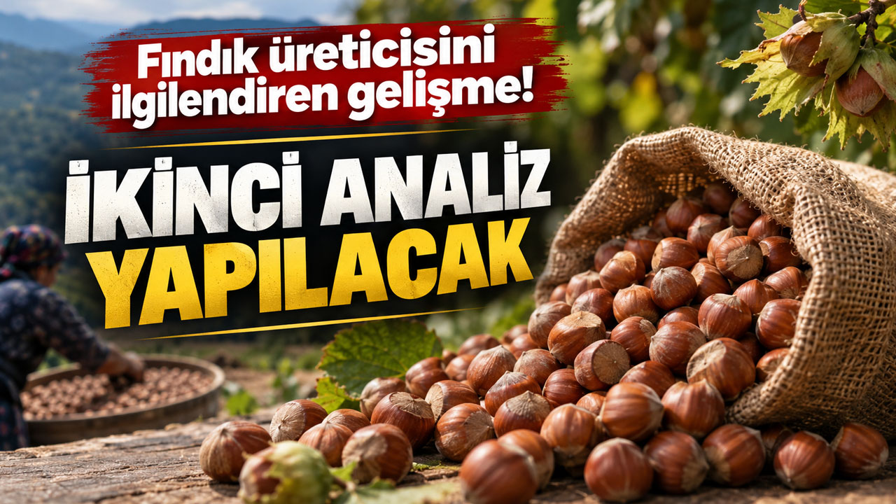 Fındık üreticisini ilgilendiren gelişme! İkinci analiz yapılacak