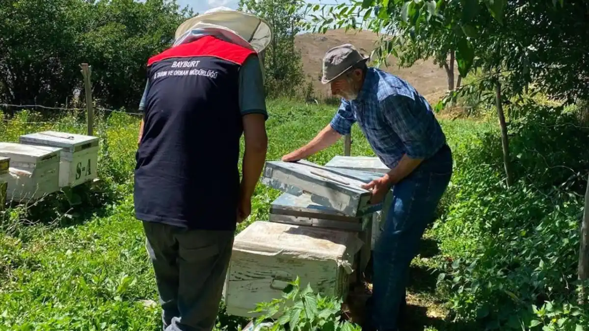 Bayburt’ta arılı kovanlar tek tek kayıt altına alınıyor