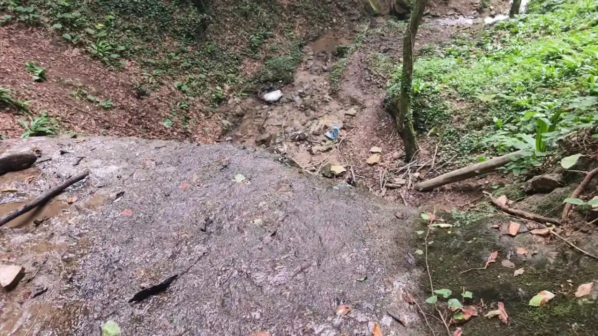 Bölgemizde acı olay! Fındık toplarken uçuruma yuvarlanan şahıs öldü