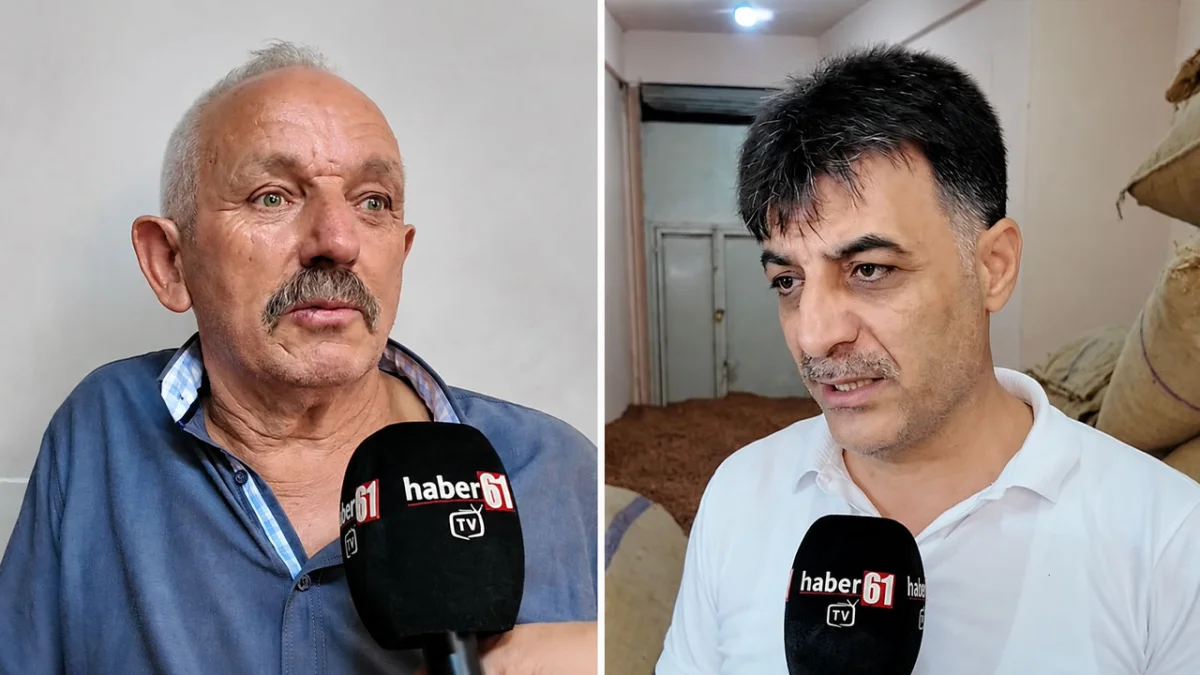 Fındıkta ihmalin faturası! “Bu fiyatlara kepenk kapatırız!”
