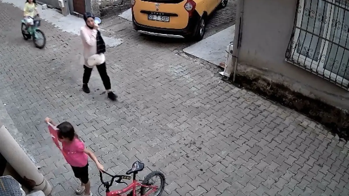 Giresun’da küçük Nehir’in bayrak duyarlılığı kamerada