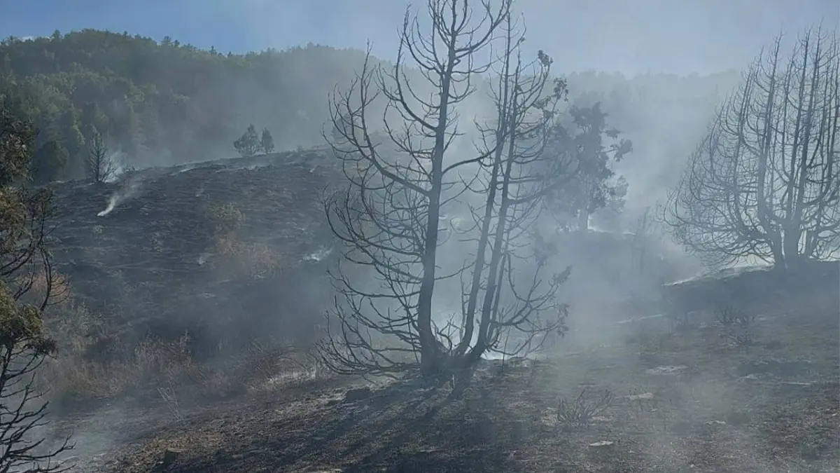 Giresun’da yayla yangını: 1 kişi yaralandı
