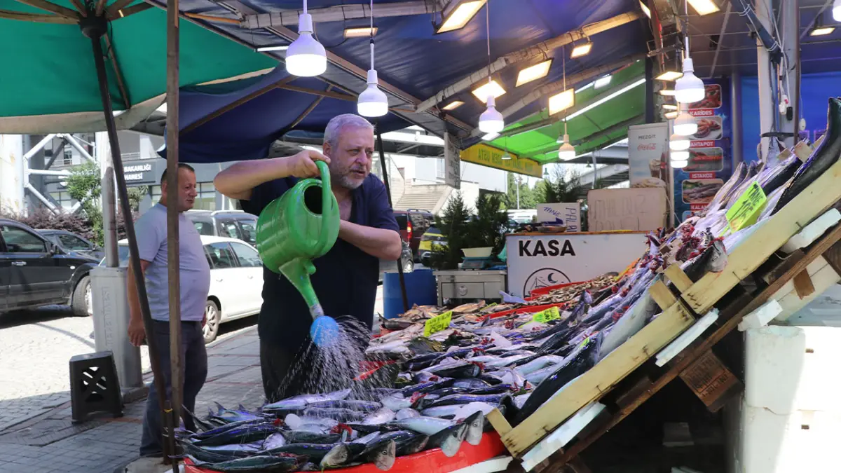 Karadeniz’de balıkçıların yüzü güldü! Palamut tezgahlarda