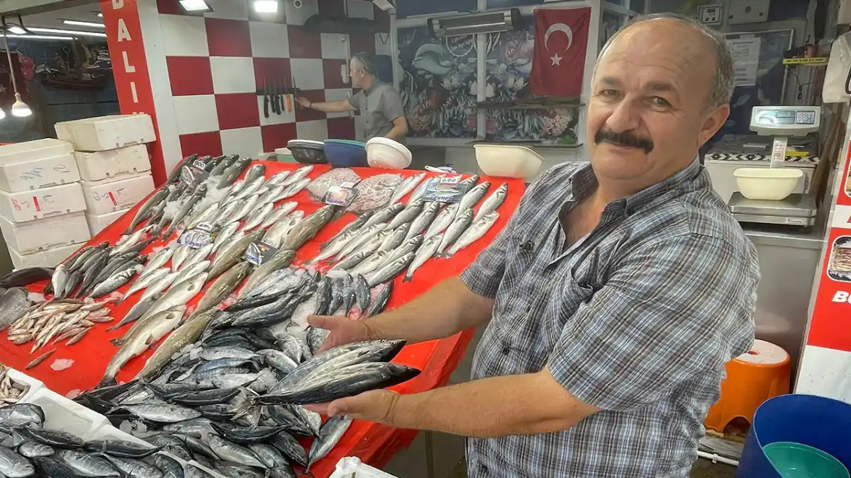 Karadeniz’de palamut bereketi! Tanesi 30 liraya satılıyor