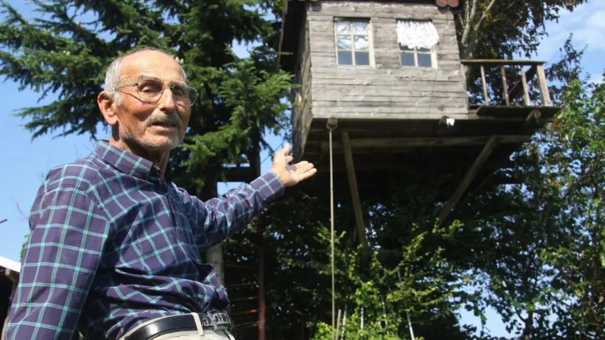 Ordu’da 90 yıllık meşe ağacına 6 metre yüksekte ev yaptırdı