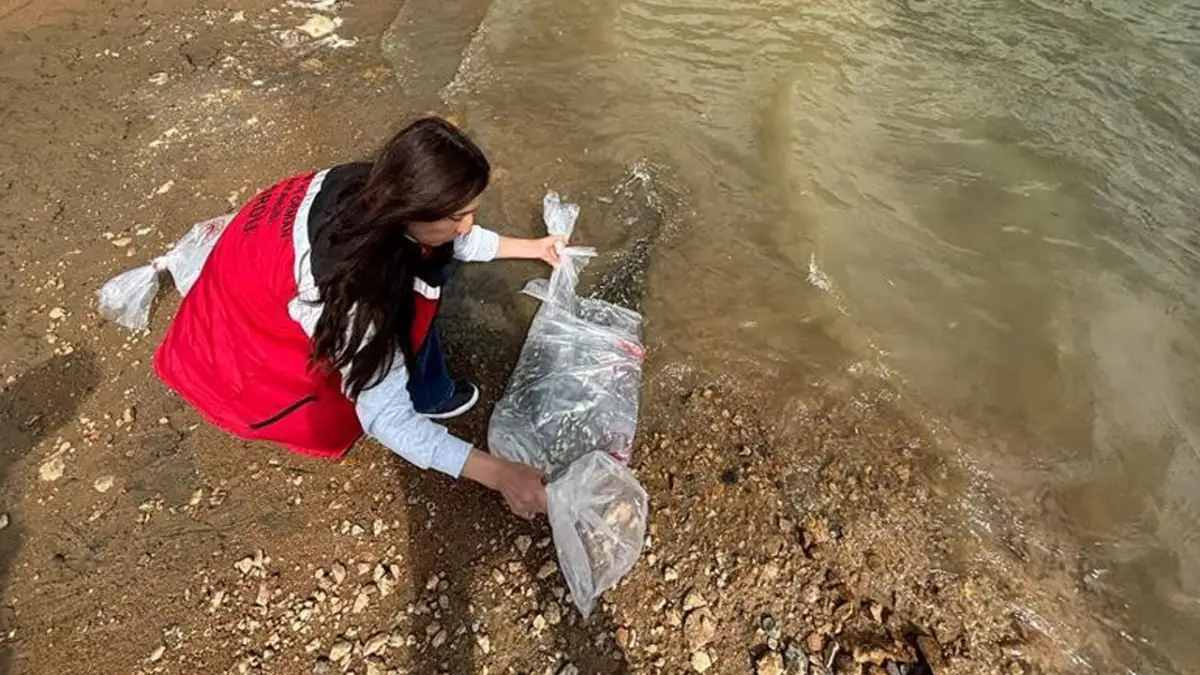 Ordu’da göl ve göletlere 80 bin yavru sazan bırakıldı