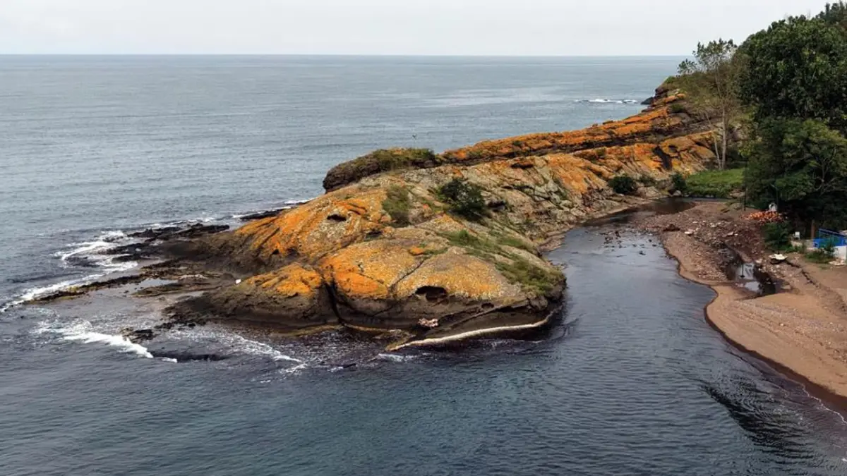 Ordu’da görenleri şaşırtan oluşum! Timsah Adası ilgi çekiyor