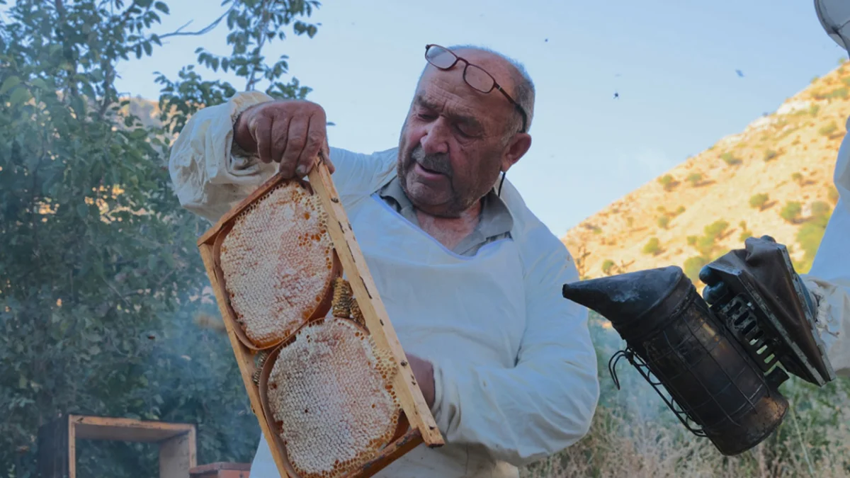 Ordulu arıcı 50 yıldır Hakkari dağlarında bal üretiyor