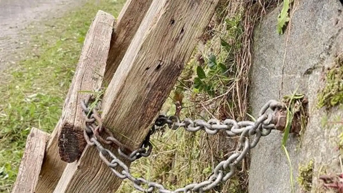Rize’de çay bahçesi merdivenini zincirleyip kilitledi