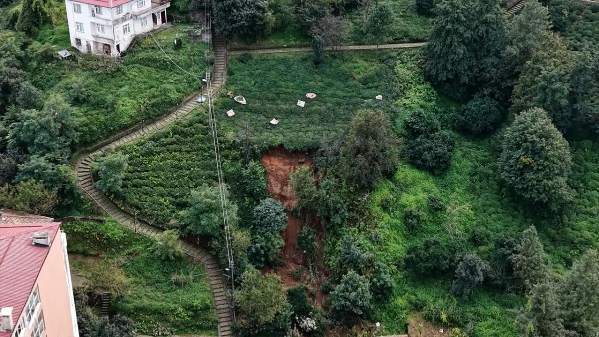 Rize'de heyelanlı bölgede çay hasadı