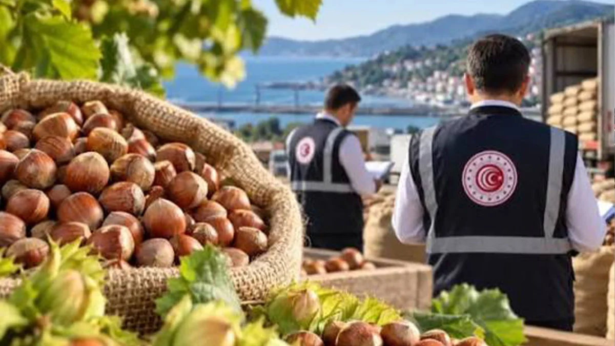 Ticaret Bakanlığı fındık piyasası için denetim başlattı