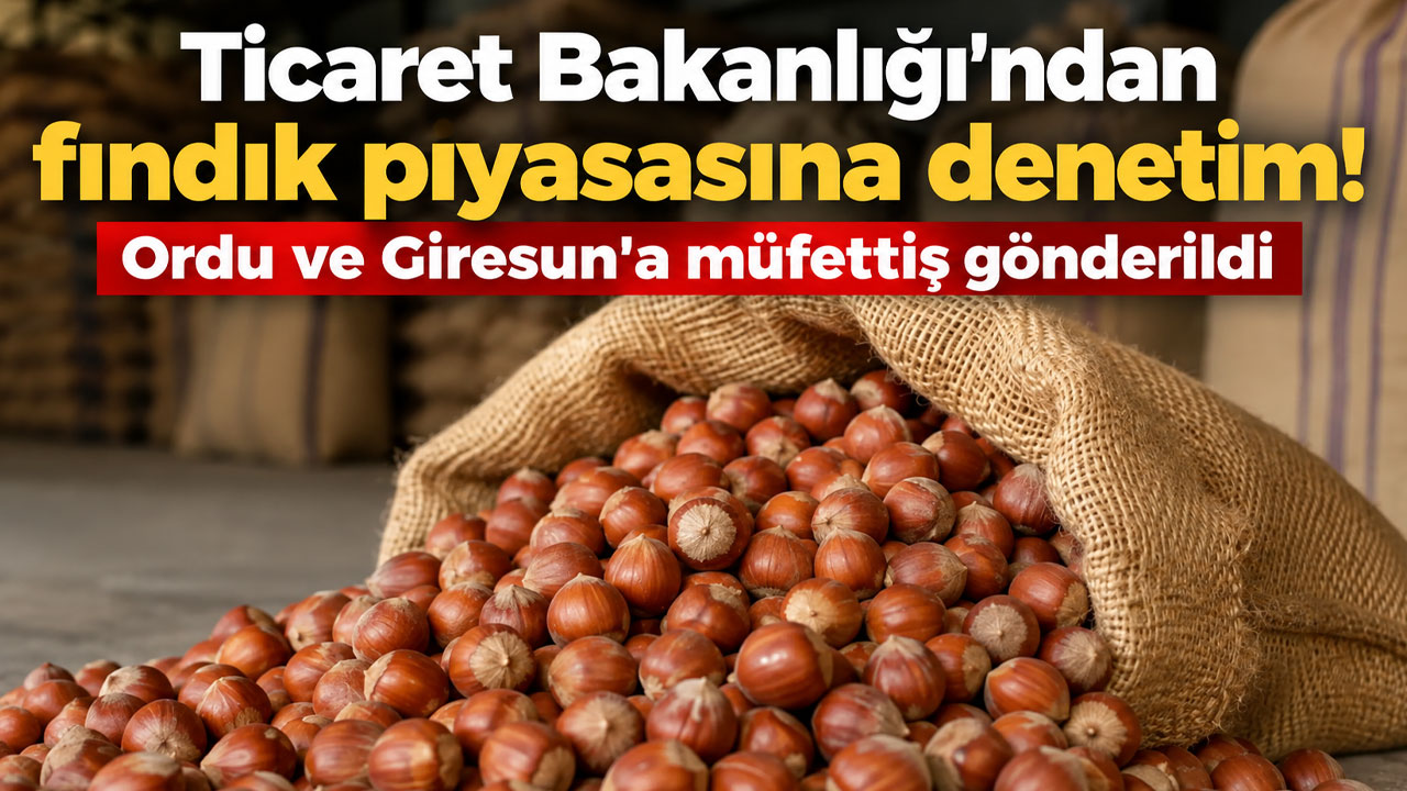 Ticaret Bakanlığı'ndan fındık piyasasına denetim! Ordu ve Giresun'a müfettiş gönderildi