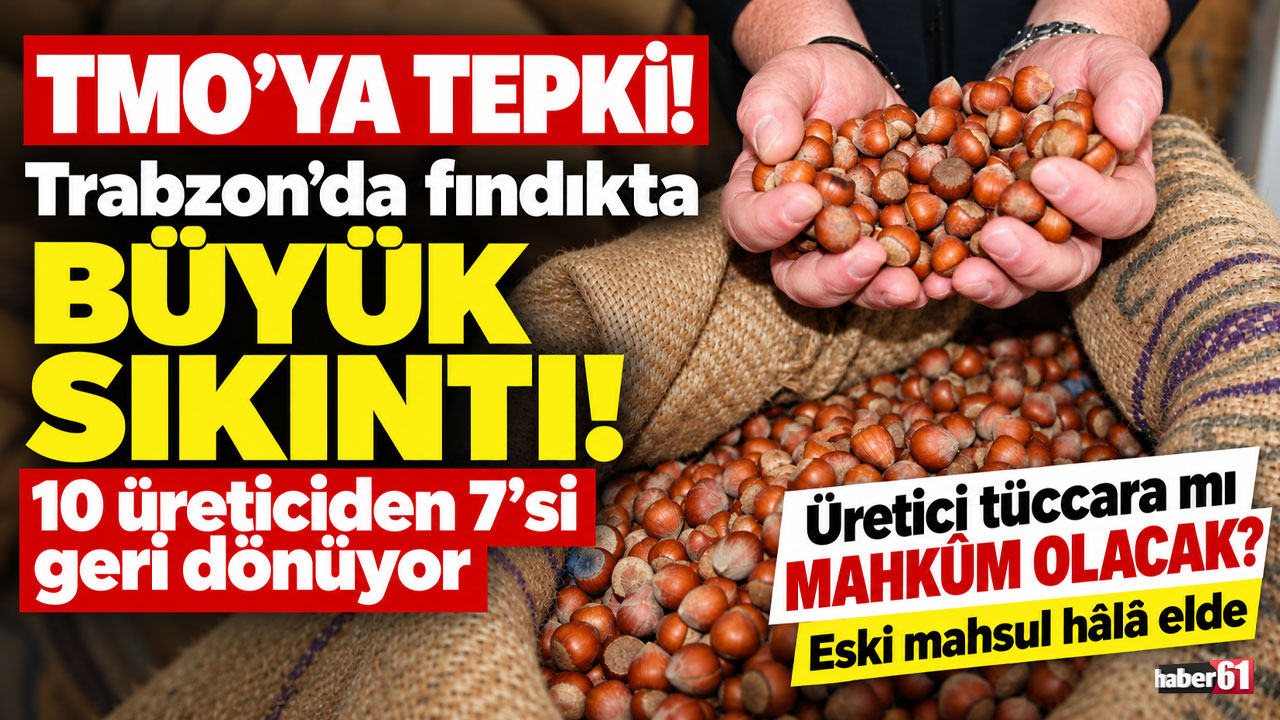 TMO'ya tepki! Trabzon’da fındıkta büyük sıkıntı! 10 üreticiden 7’si geri dönüyor