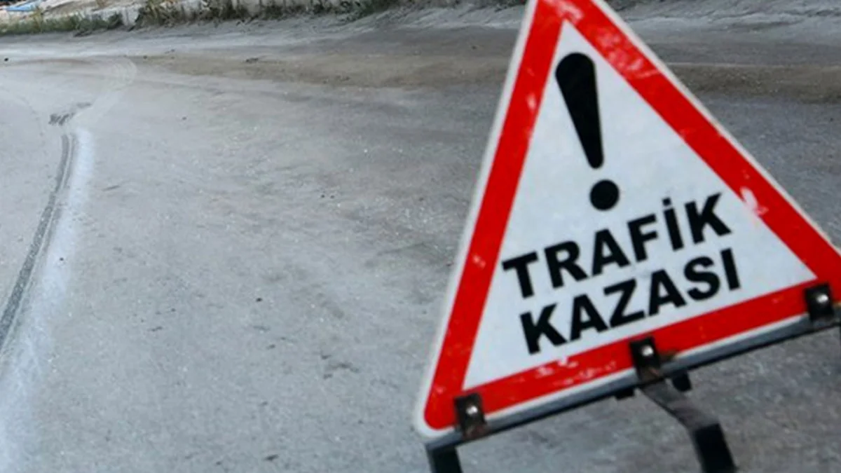 Trabzon plakalı otomobil Giresun'da kazaya karıştı! 2 yaralı