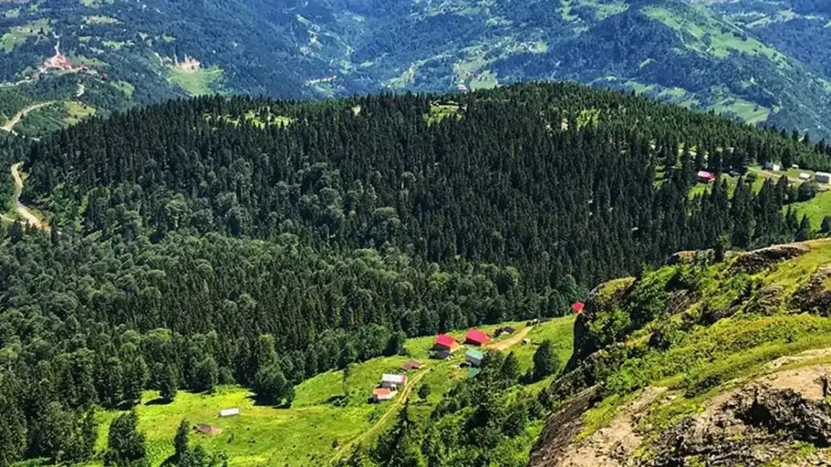 Trabzon’da orman yangınları için ezber bozan düzenleme! Her şey sil baştan