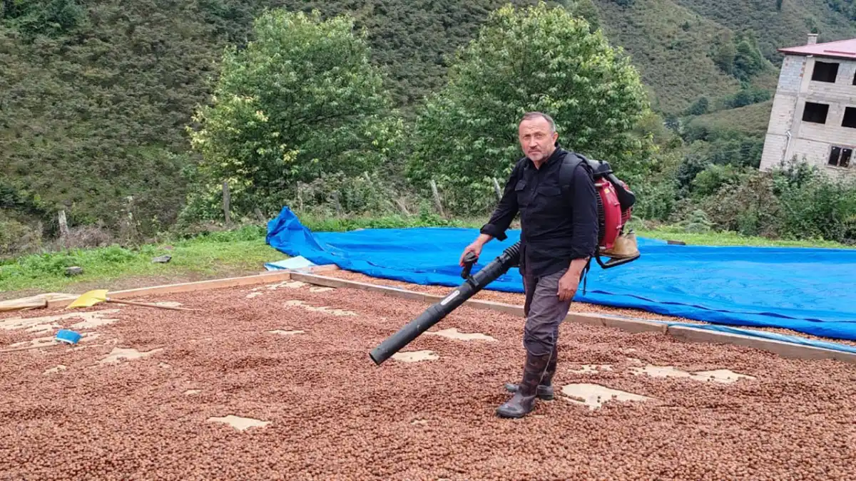 Yağmur fındık üreticisini zorladı, çözümü üfleme körüğünde buldu