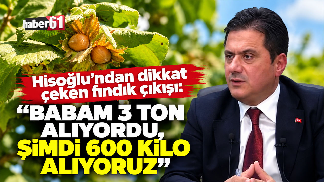 Hisoğlu’ndan dikkat çeken fındık çıkışı: “Babam 3 ton alıyordu, şimdi 600 kilo alıyoruz”