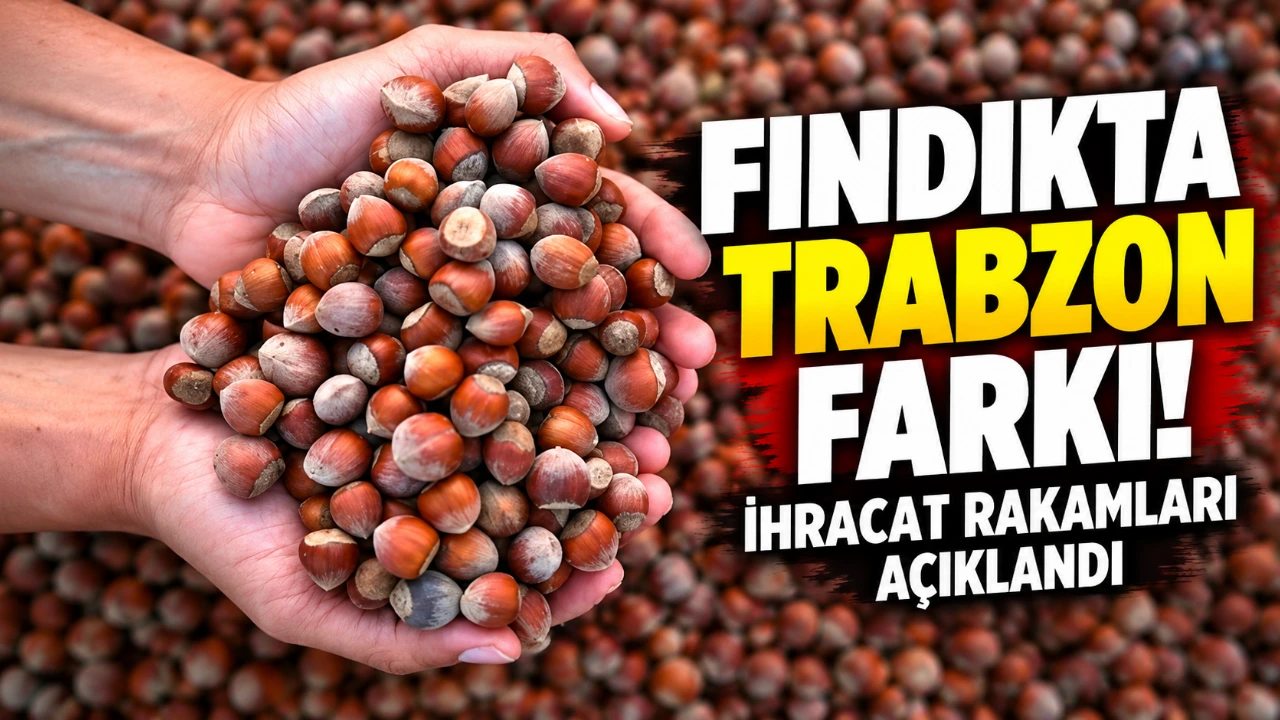 Fındıkta Trabzon farkı! İhracat rakamları açıklandı