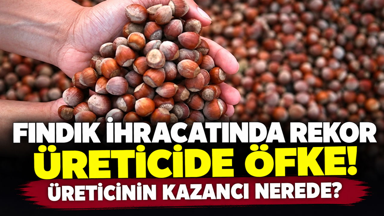 Fındık ihracatında rekor, üreticide öfke! Üreticinin kazancı nerede?