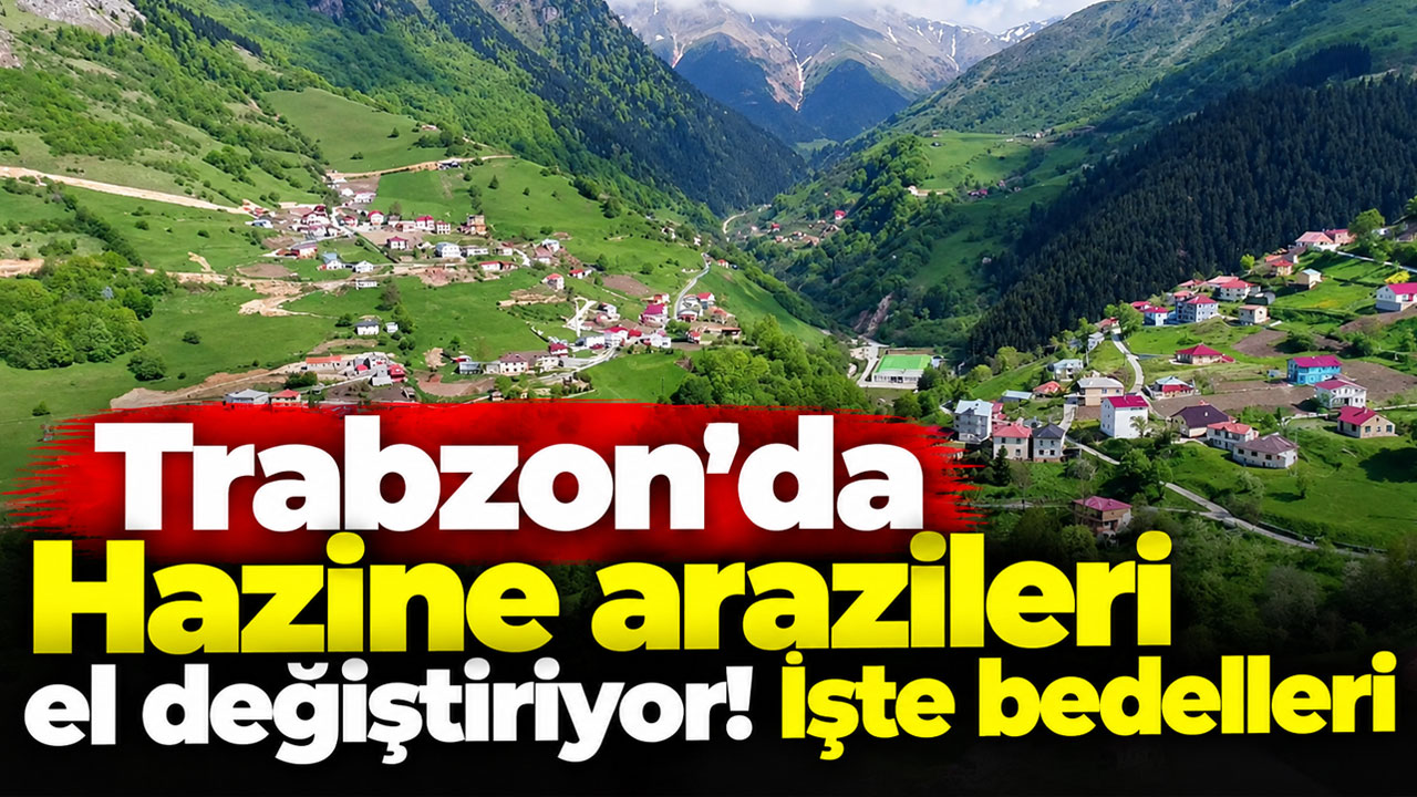 Trabzon’da Hazine arazileri el değiştiriyor! İşte bedelleri