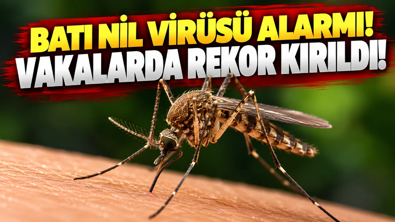 Batı Nil Virüsü alarmı! Vakalarda rekor kırıldı