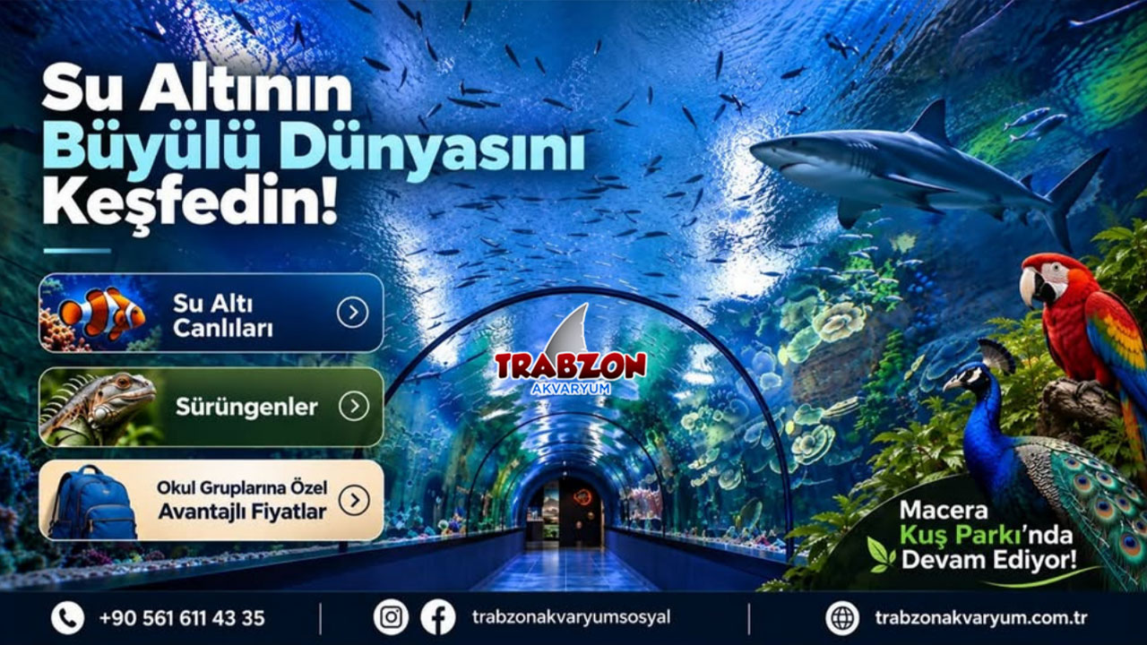 Trabzon Tünel Akvaryum