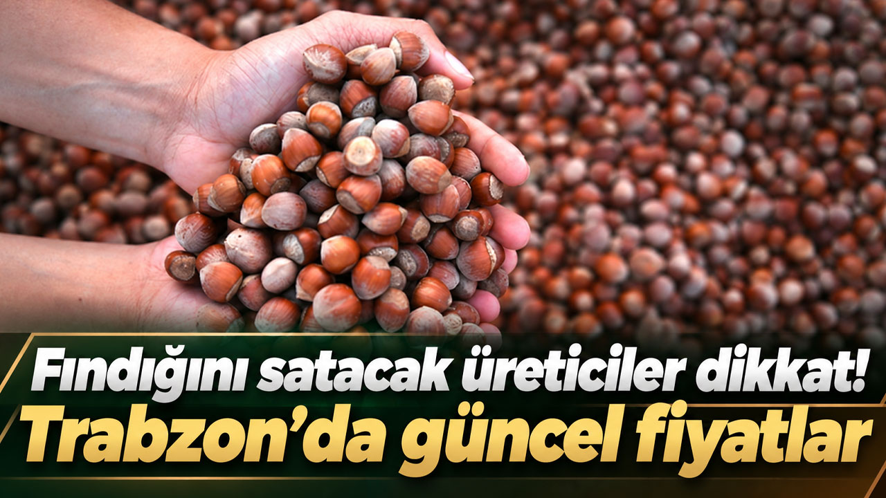 Fındığını satacak üreticiler dikkat! Trabzon’da güncel fiyatlar