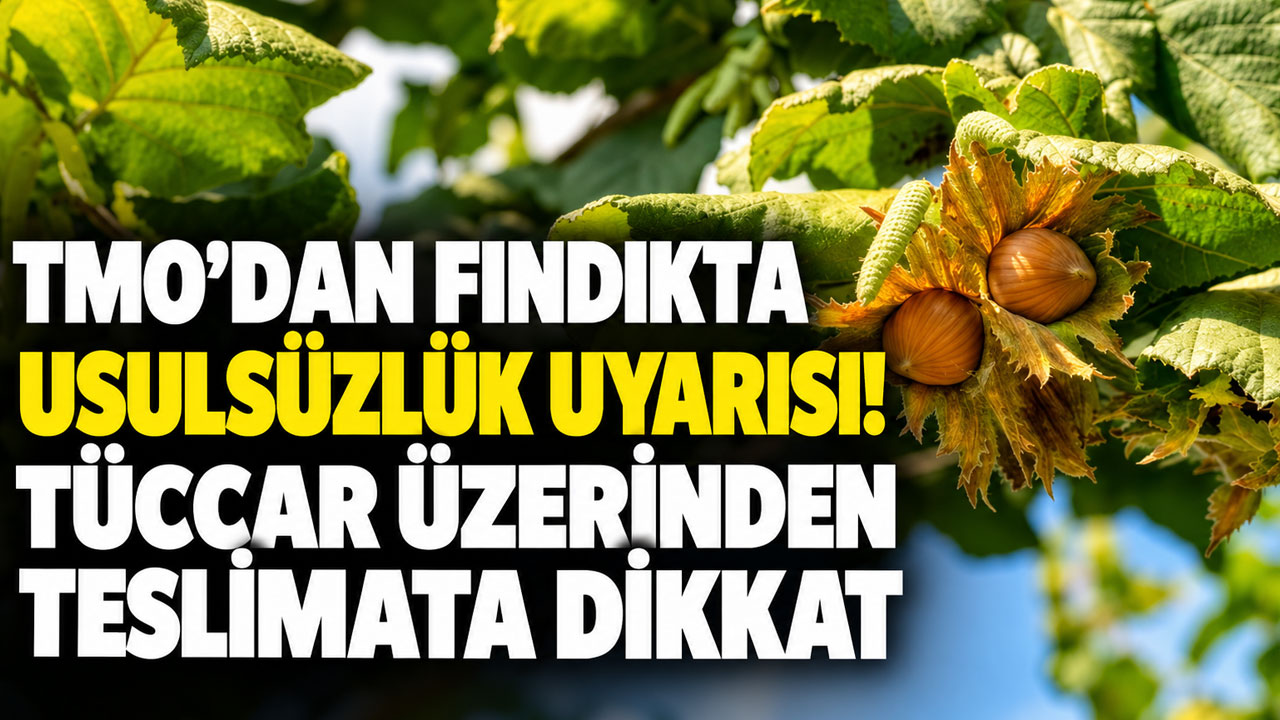 TMO’dan fındıkta usulsüzlük uyarısı! Tüccar üzerinden teslimata dikkat