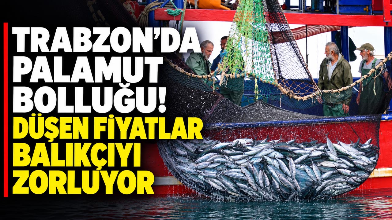 Trabzon’da palamut bolluğu! Düşen fiyatlar balıkçıyı zorluyor