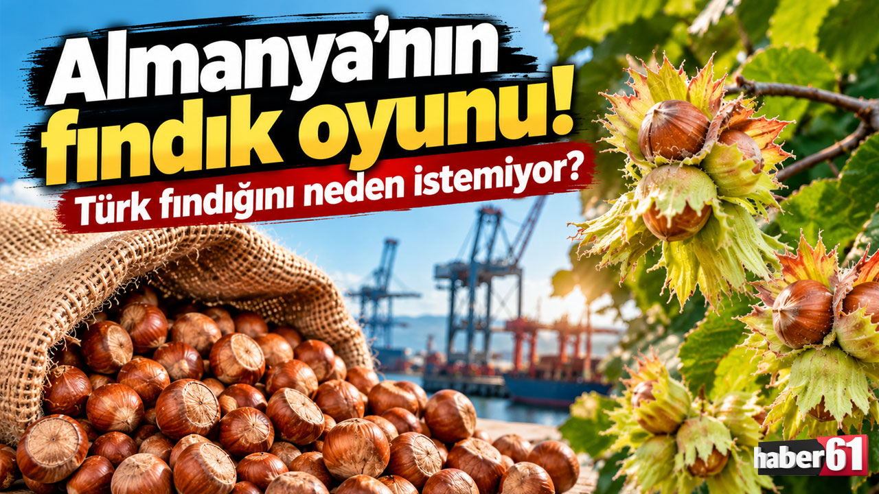Almanya'nın fındık oyunu! Türk fındığını neden istemiyor?