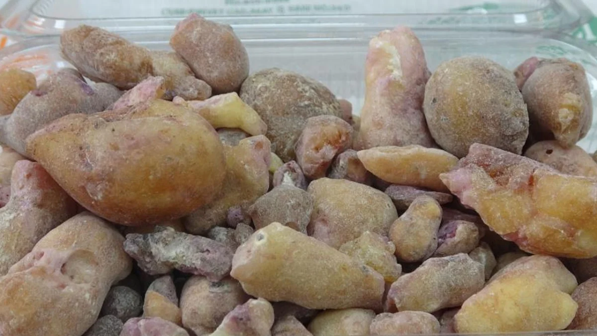 Artvin’de çam sakızının kilosu 10 bin liraya ulaştı