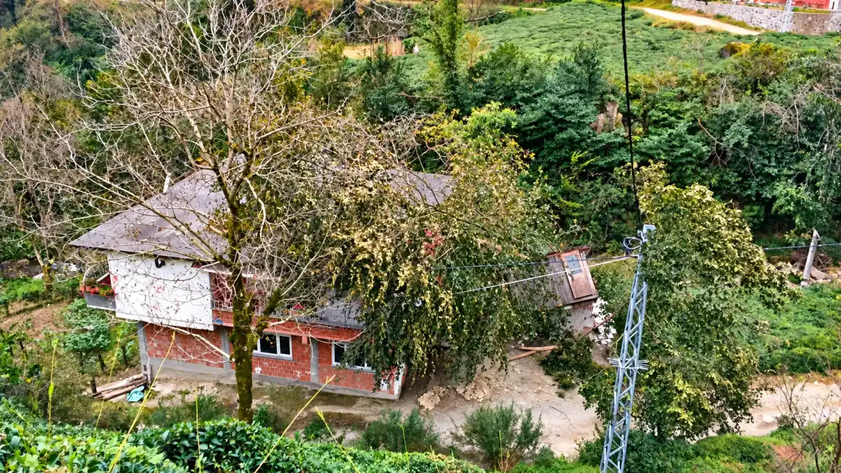 Artvin'de kuvvetli rüzgâr hayatı olumsuz etkiledi! Ağaçlar devrildi, araçlar zarar gördü