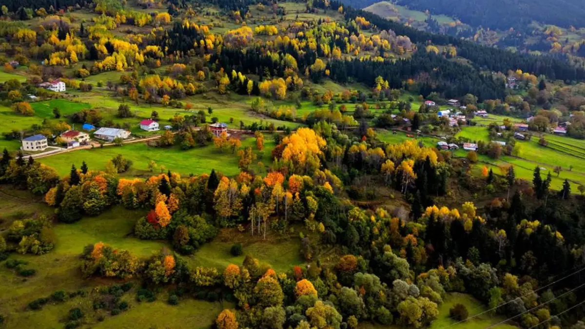 Artvin’de sonbahar güzelliği! Yavuzköy renk cümbüşüne büründü