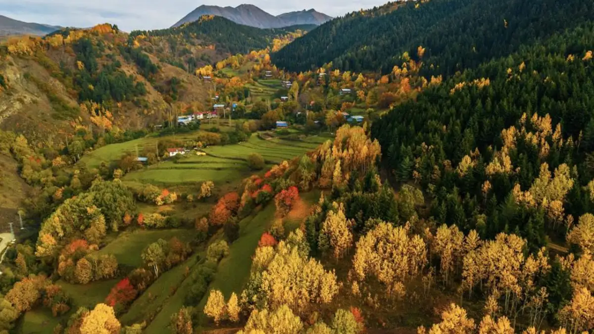 Artvin’de sonbaharın renkleri büyüledi