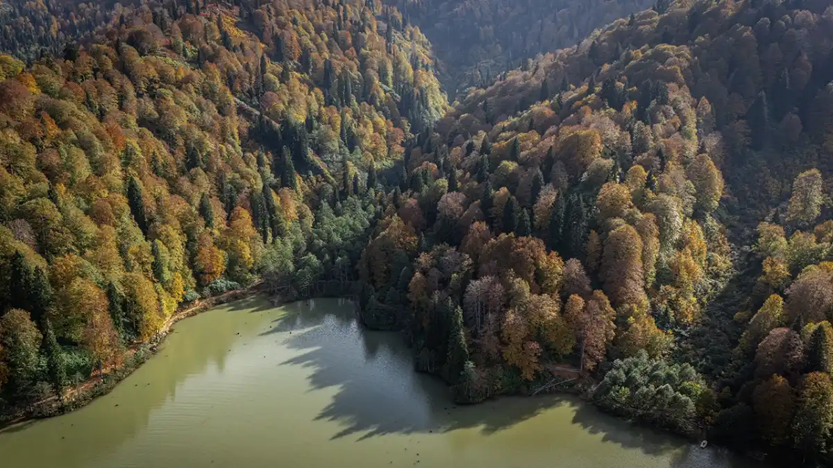 Artvin'deki Borçka Karagöl Tabiat Parkı sonbahar renklerine büründü
