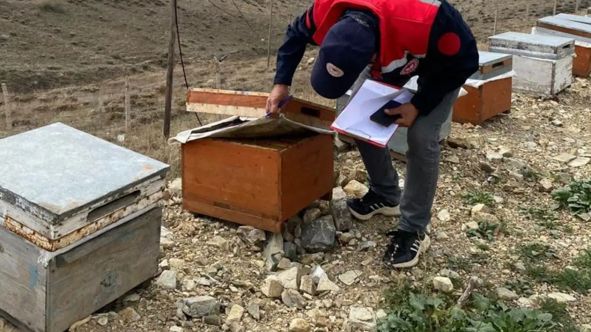 Bayburt’ta Arılı Kovan Desteği için son tarih 30 Ekim!