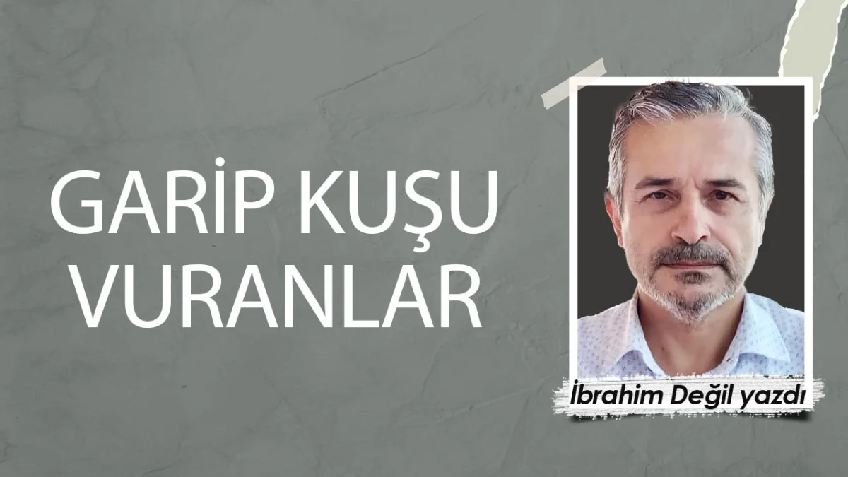 Garip kuşu vuranlar
