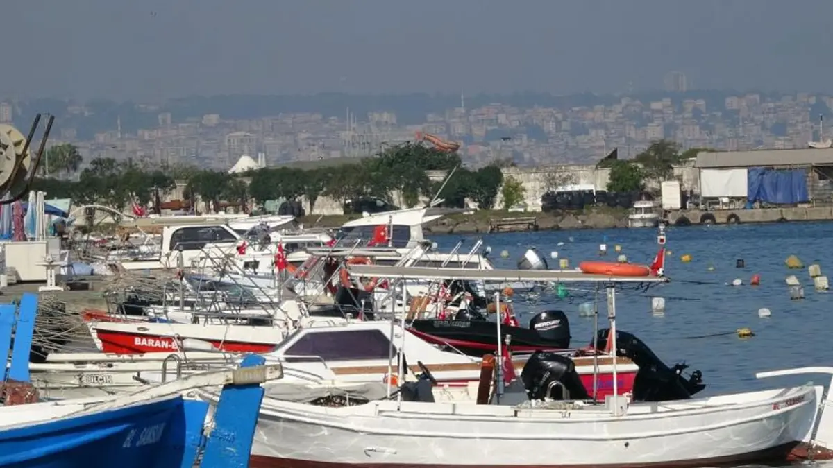 Giresun’da palamut bolluğu tartışması! “Karadeniz’de hiçbir şey kalmadı”